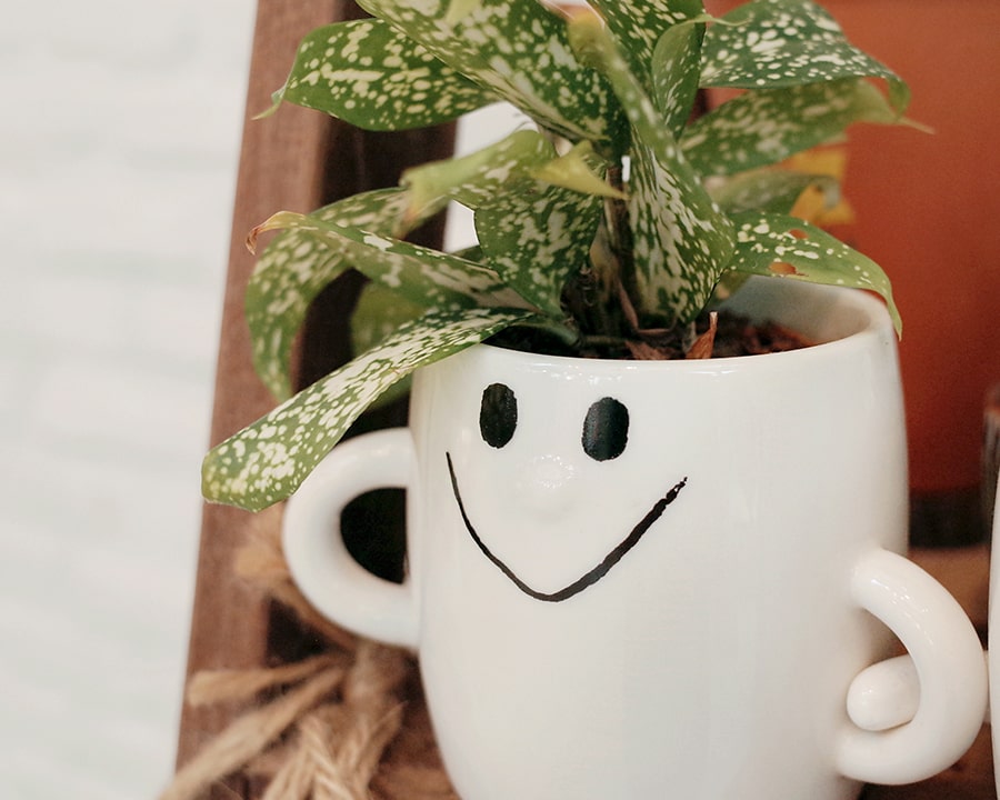 Decorate Early for a Season or Holiday